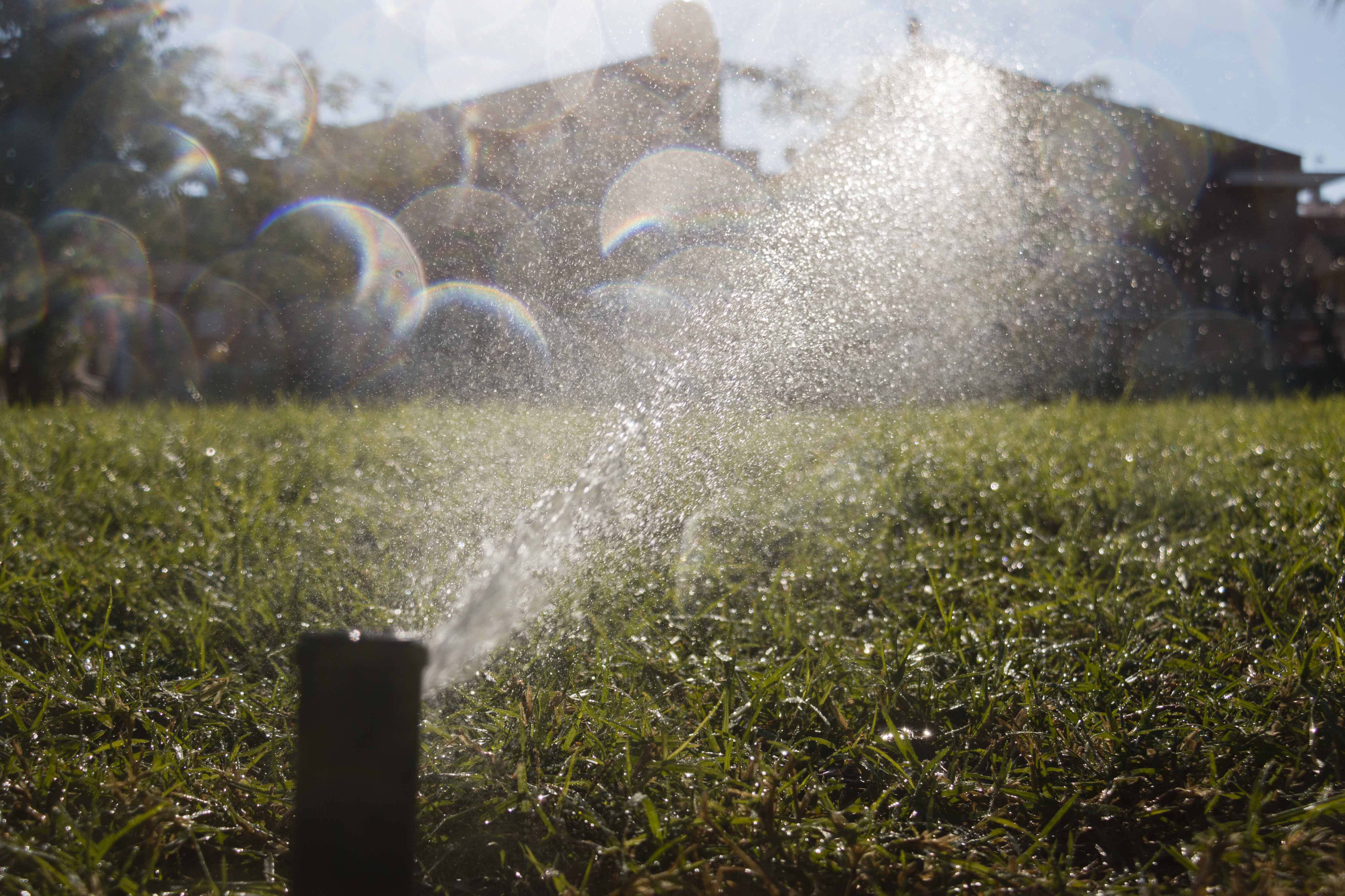 Río Segura por Beniel